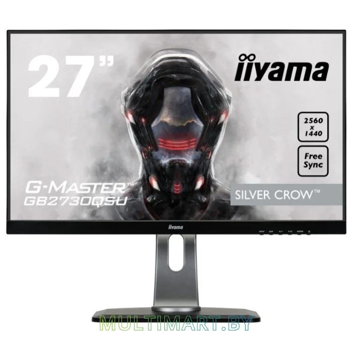 Монитор Iiyama ProLite GB2730QSU-B1